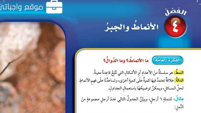 حل الفصل الرابع الانماط والجبر رياضيات رابع ابتدائي ف1 1446
