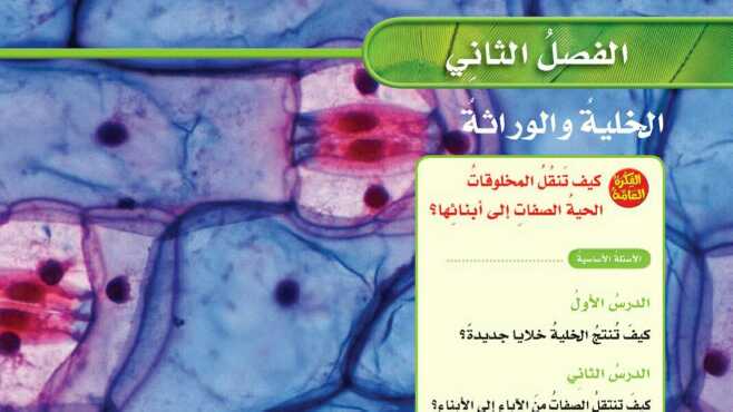 حل الفصل الثاني الخلية والوراثة علوم سادس ابتدائي ف1 1447