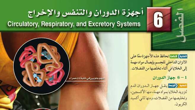 حل الفصل السادس اجهزة الدوران والتنفس والاخراج احياء 2 مقررات 1442