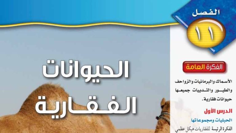حل الفصل 11 الحيوانات الفقارية علوم اول متوسط ف2 1445