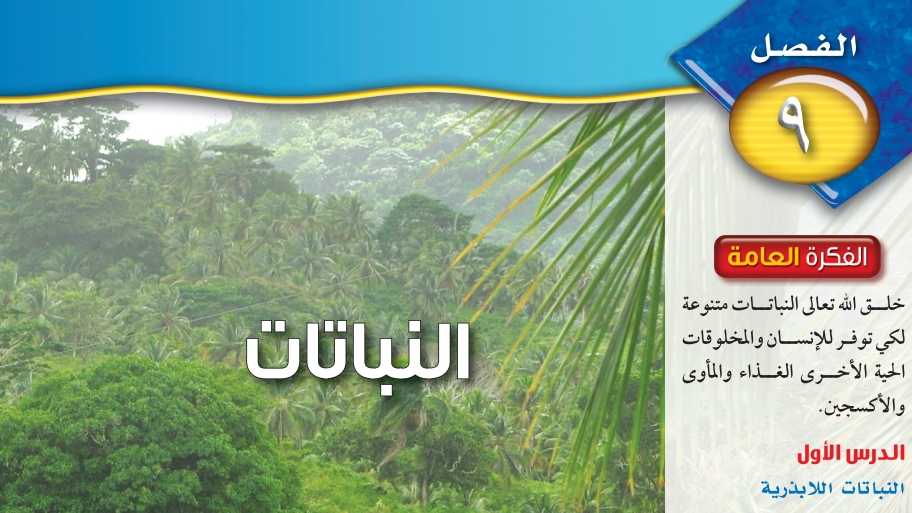 حل الفصل التاسع النباتات علوم ثاني متوسط ف2 1446