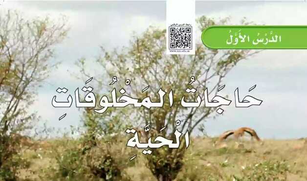 شرح درس حاجات المخلوقات الحية ثاني ابتدائي ف1