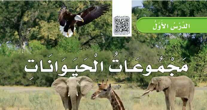 شرح درس مجموعات الحيوانات ثاني ابتدائي ف1