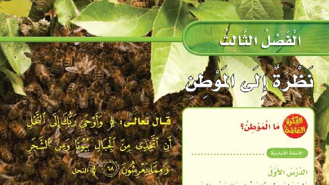 حل الفصل الثالث نظرة إلى الموطن علوم ثاني ابتدائي ف1 1448