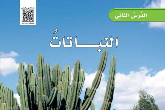 شرح درس النباتات للصف الخامس الابتدائي ف1
