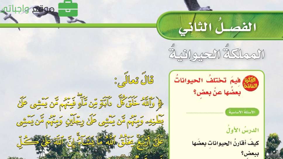 حل علوم الفصل الثاني المملكة الحيوانية رابع ابتدائي ف1 1447