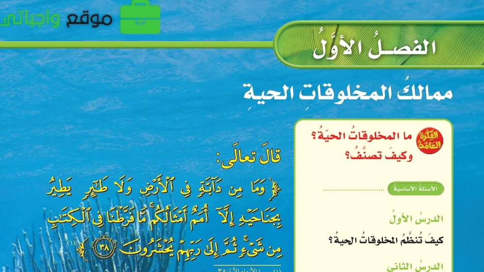 حل الفصل الاول ممالك المخلوقات الحية علوم رابع ابتدائي ف1 1447