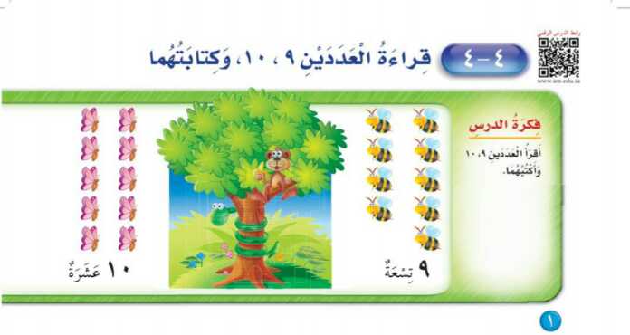 شرح درس قراءة العددين ٩-١٠ وكتابتهما اول ابتدائي ف1