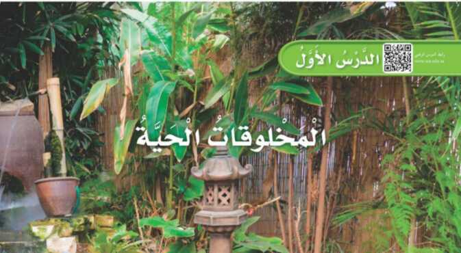 شرح درس المخلوقات الحية اول ابتدائي ف1