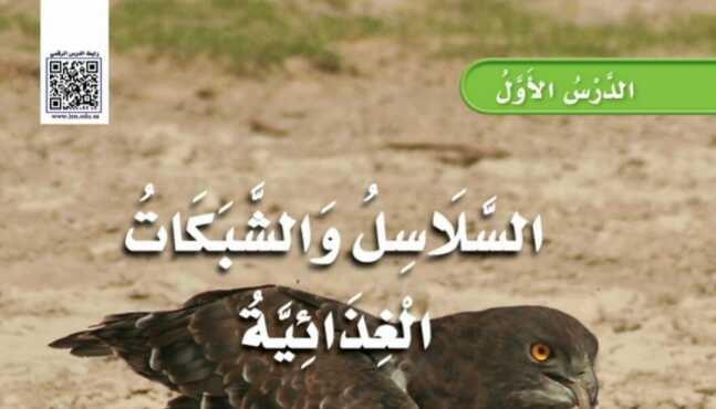 شرح درس السلاسل والشبكات الغذائية للصف الثالث الابتدائي ف1