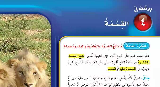 القسمة
