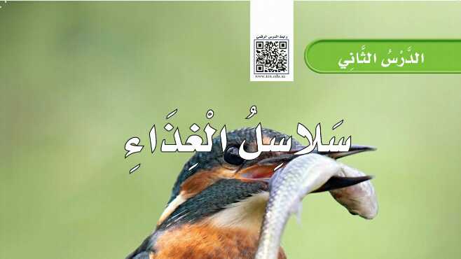 شرح درس سلاسل الغذاء ثاني ابتدائي ف1
