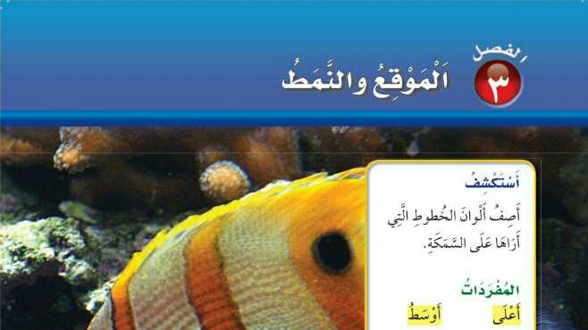الموقع والنمط