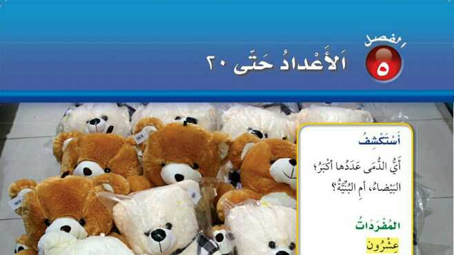 الفصل 5 الاعداد حتى 20