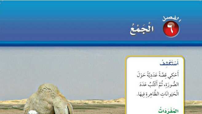 الفصل 6 الجمع
