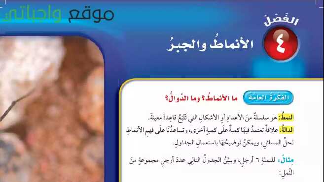 الانماط والجبر