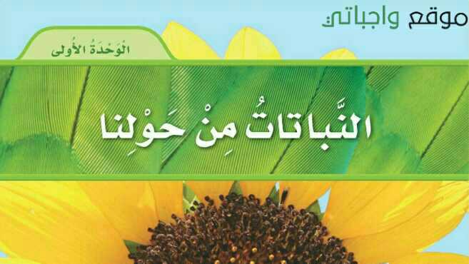 حل الوحدة الاولى النباتات من حولنا علوم اول ابتدائي ف1 1448