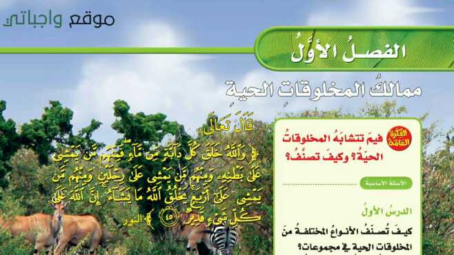 حل الفصل الاول ممالك المخلوقات الحية علوم خامس ابتدائي ف1 1447