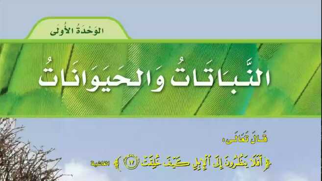 النباتات والحيوانات