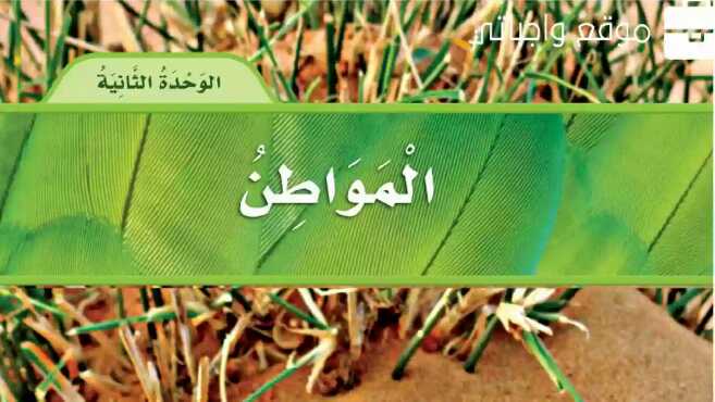 المواطن
