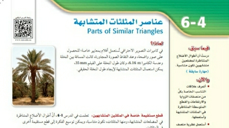 شرح درس عناصر المثلثات المتشابهة رياضيات اول ثانوي مسارات ف2