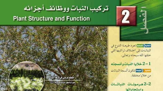 حل الفصل الثاني تركيب النبات ووظائف أجزائه احياء 3 مقررات 1442
