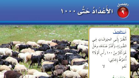 حل رياضيات الفصل التاسع الأعداد حتى 1000 ثاني ابتدائي ف2 1447