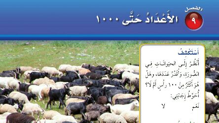 الفصل 9 الأعداد حتى 1000