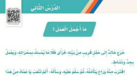 شرح درس ما أجمل العمل ثالث ابتدائي ف2