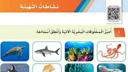نشاطات التهيئة الوحدة الثامنة البحار والمحيطات ثالث ابتدائي ف2