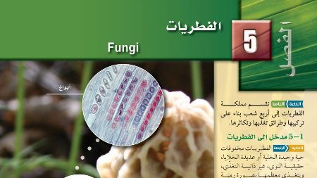حل الفصل الخامس الفطريات احياء اول ثانوي مسارات 1445