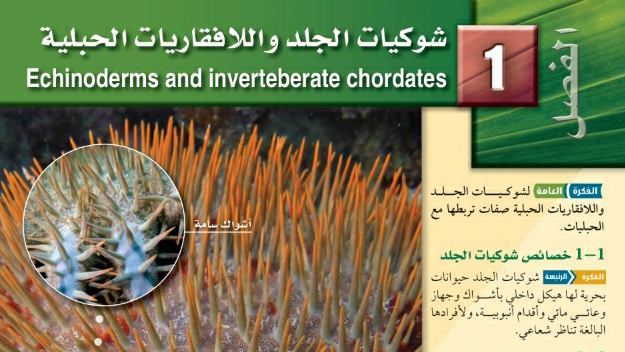 الفصل 1 شوكيات الجلد واللافقاريات الحبلية