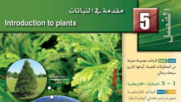 الفصل 5 مقدمة في النباتات