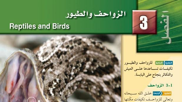 الفصل 3 الزواحف والطيور