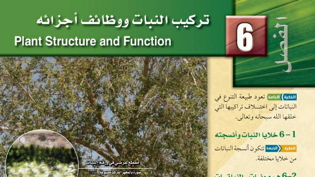 الفصل 6 تركيب النبات ووظائف أجزائه