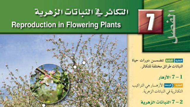 الفصل 7 التكاثر في النباتات الزهرية