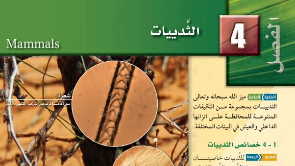 الفصل 4 الثدييات