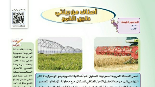 درس أصناف من بيئتي دقيق القمح ثالث متوسط ف1