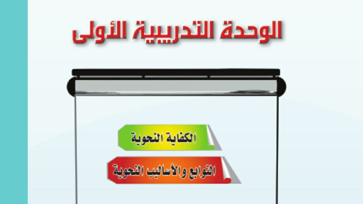 الكفاية النحوية