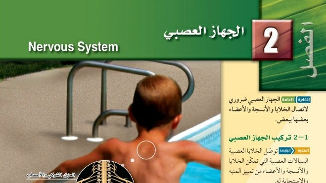 الفصل 2 الجهاز العصبي