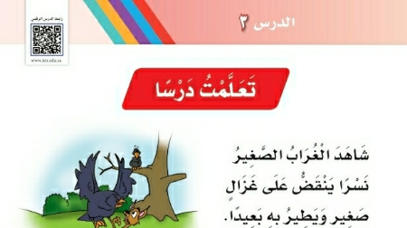 شرح درس تعلمت درسا