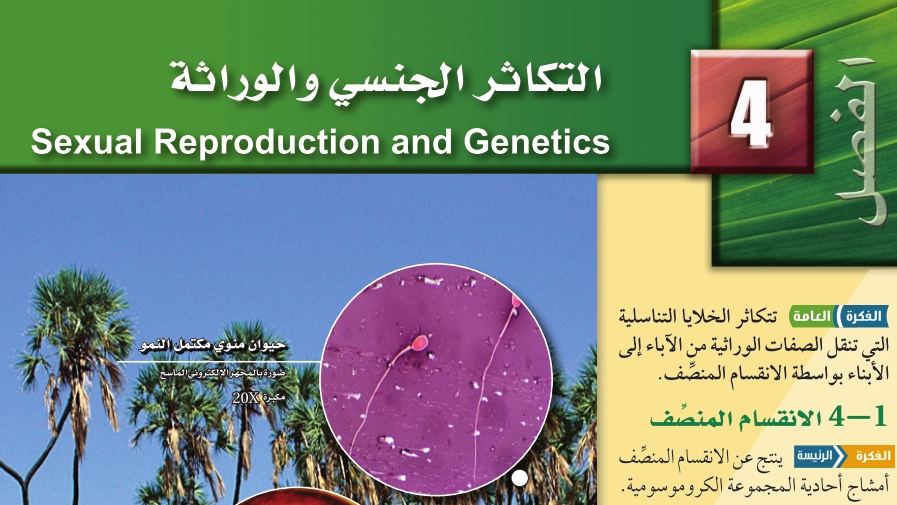 الفصل 8 التكاثر الجنسي والوراثة
