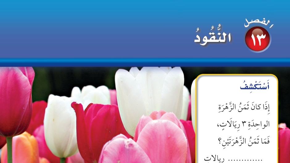 الفصل 13 النقود