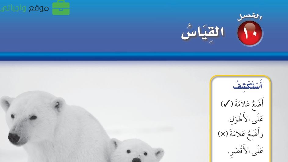 الفصل 10 القياس