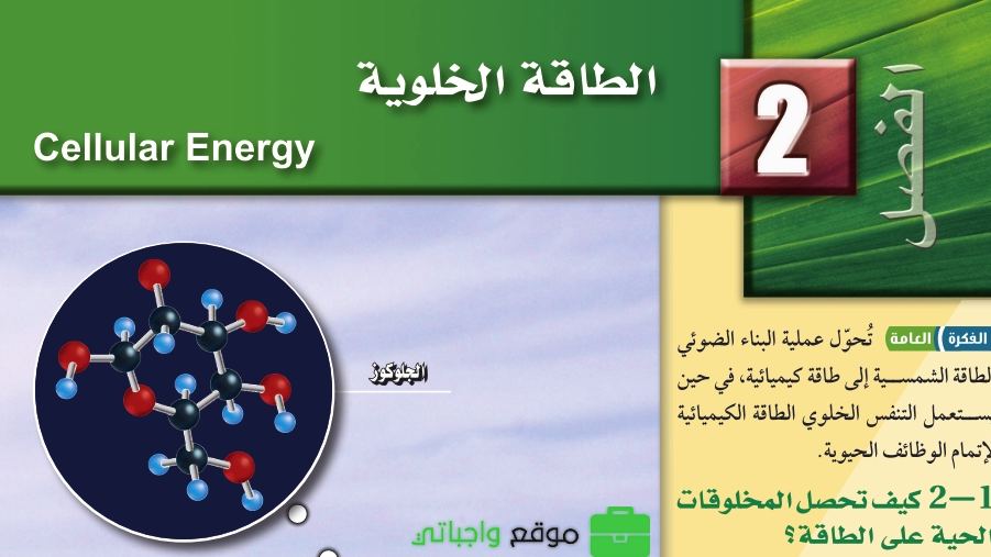 الفصل 9 الطاقة الخلوية
