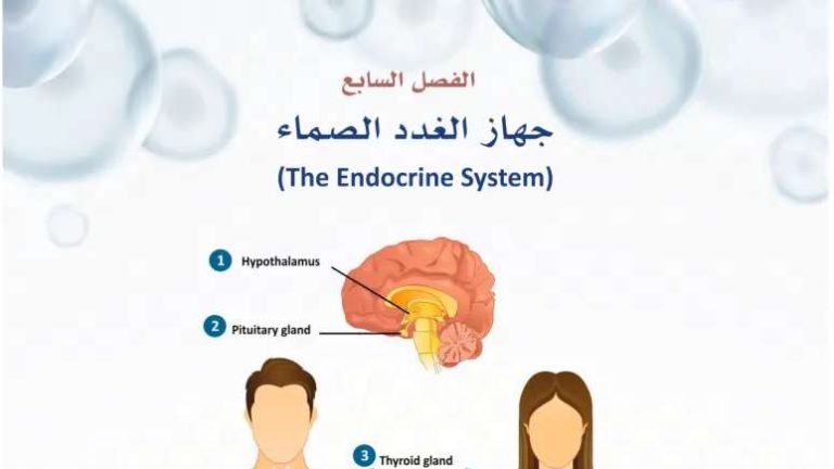 حل الفصل السابع جهاز الغدد الصماء انظمة جسم الانسان ثالث ثانوي ف1 1445