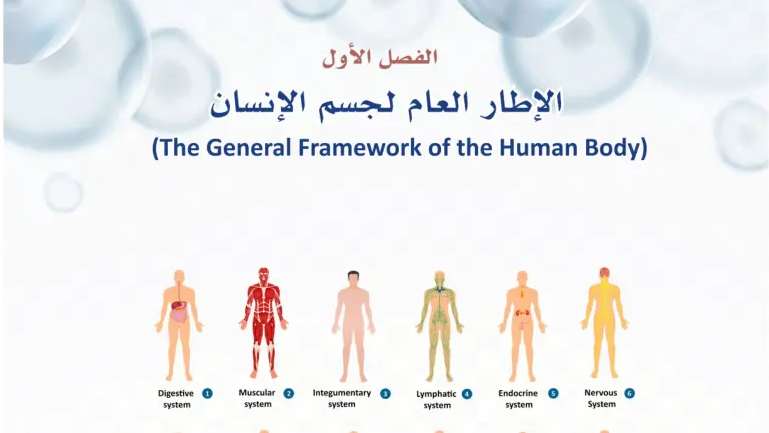 حل الفصل الأول الإطار العام لجسم الإنسان