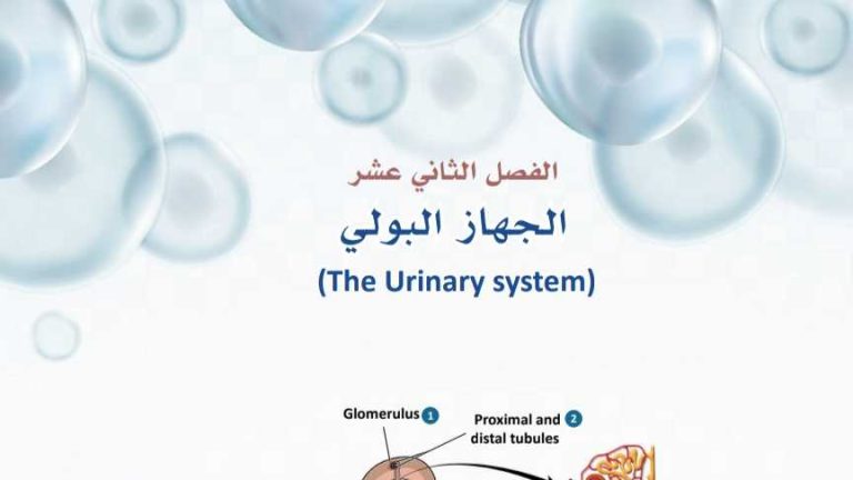 حل الفصل الثاني عشر الجهاز البولي
