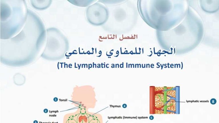 حل الفصل التاسع الجهاز اللمفاوي والمناعي ثالث ثانوي مسارات ف2 1447