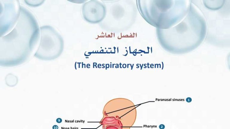 حل الفصل العاشر الجهاز التنفسي ثالث ثانوي مسارات ف2 1447